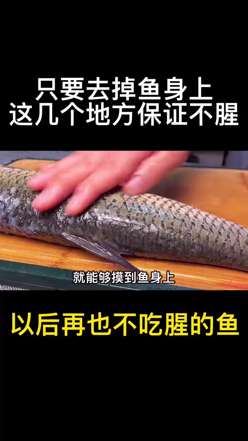 去掉鱼腥线就错了!不管是啥鱼,只要注意点,就能