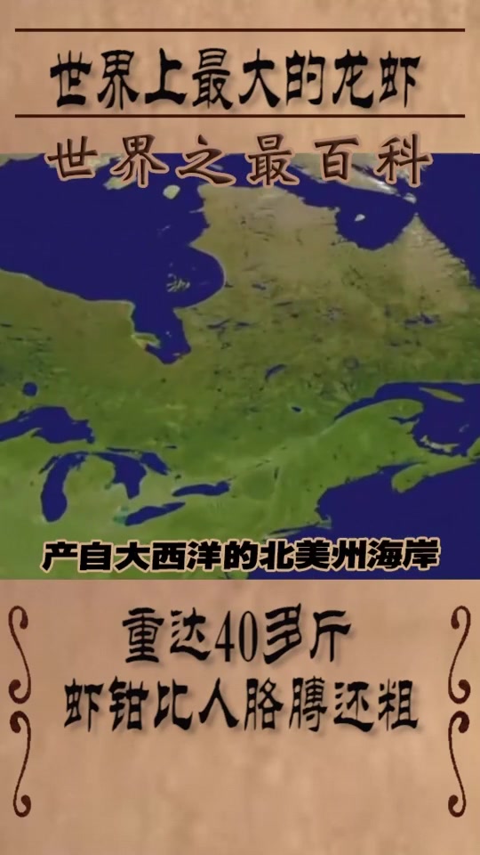世界上最大的龙虾,重达40多斤,虾钳比人胳膊还粗,味道应该很不错哦