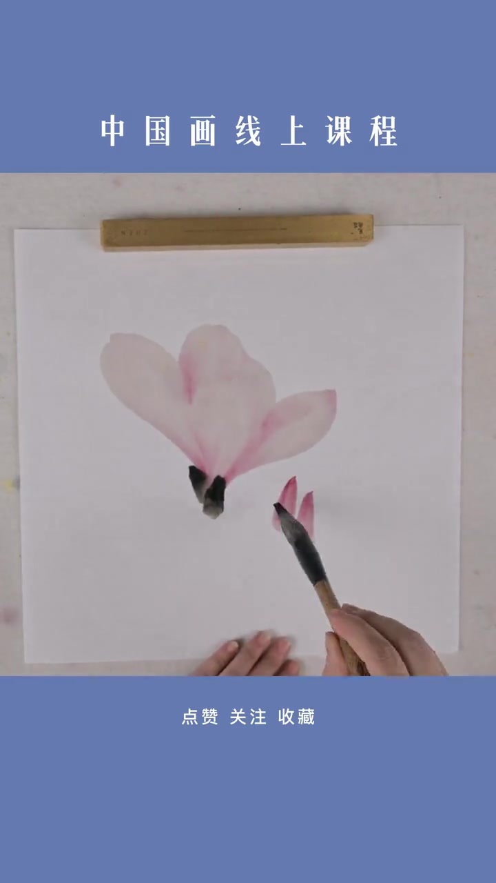 玉兰——中国画