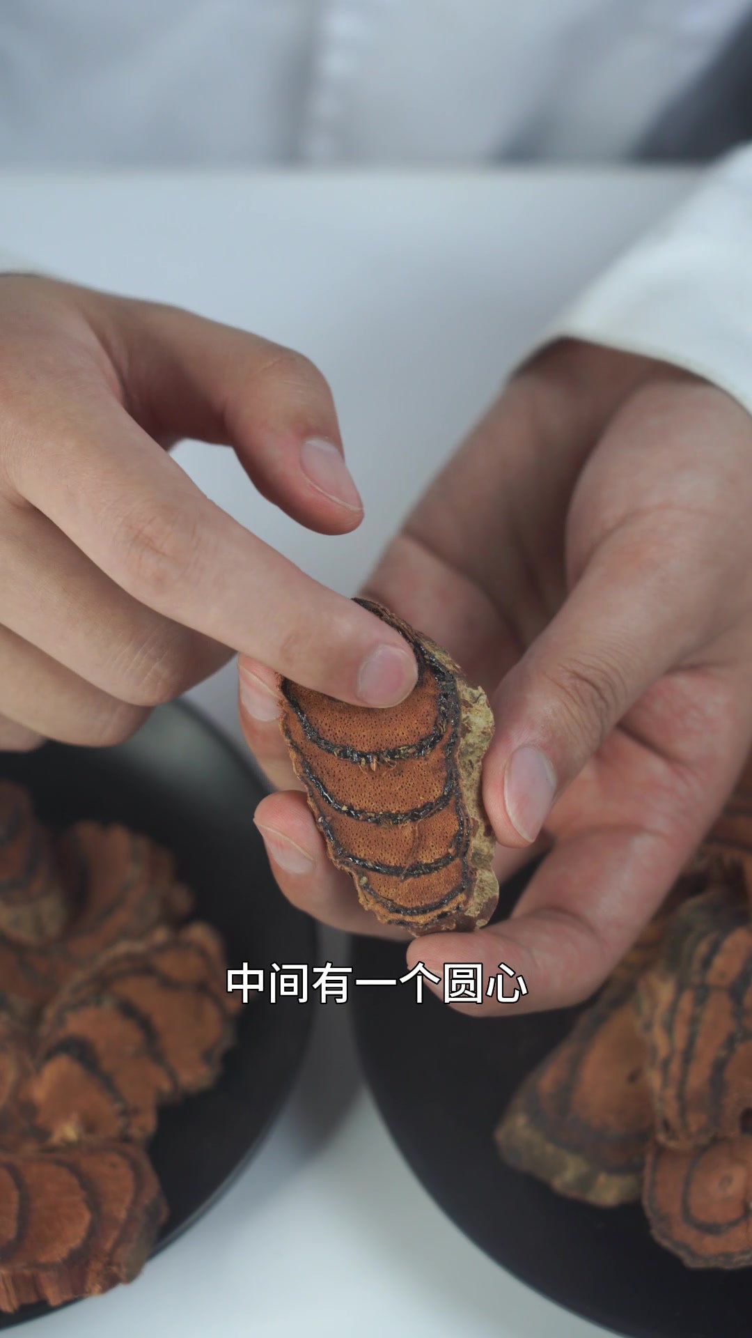 鸡血藤真伪优劣鉴别