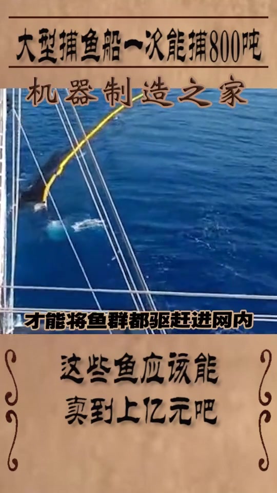 大型捕鱼船出海一次能捕鱼800吨,网友:出海一次能挣上亿吧