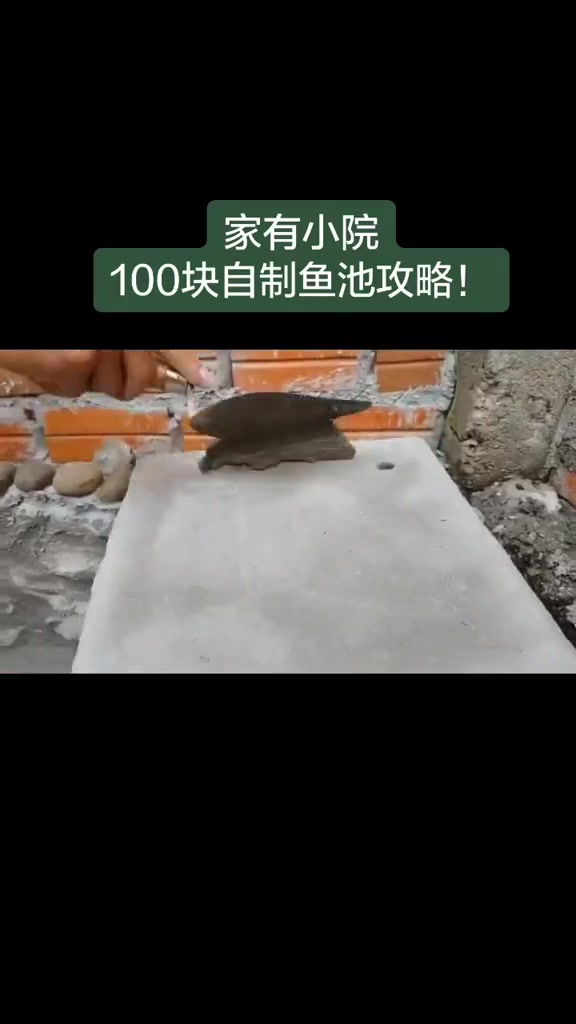 自制小鱼池步骤分享|庭院设计