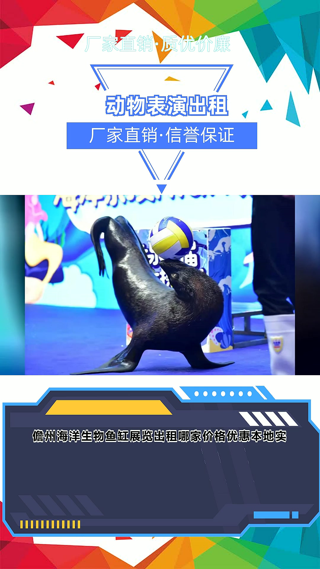 儋州海洋生物鱼缸展览出租哪家价格优惠本地实力商家点赞收藏慢慢观看