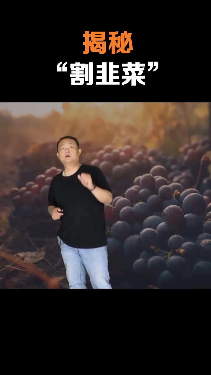 什么是割韭菜?分享转发帮助更多人