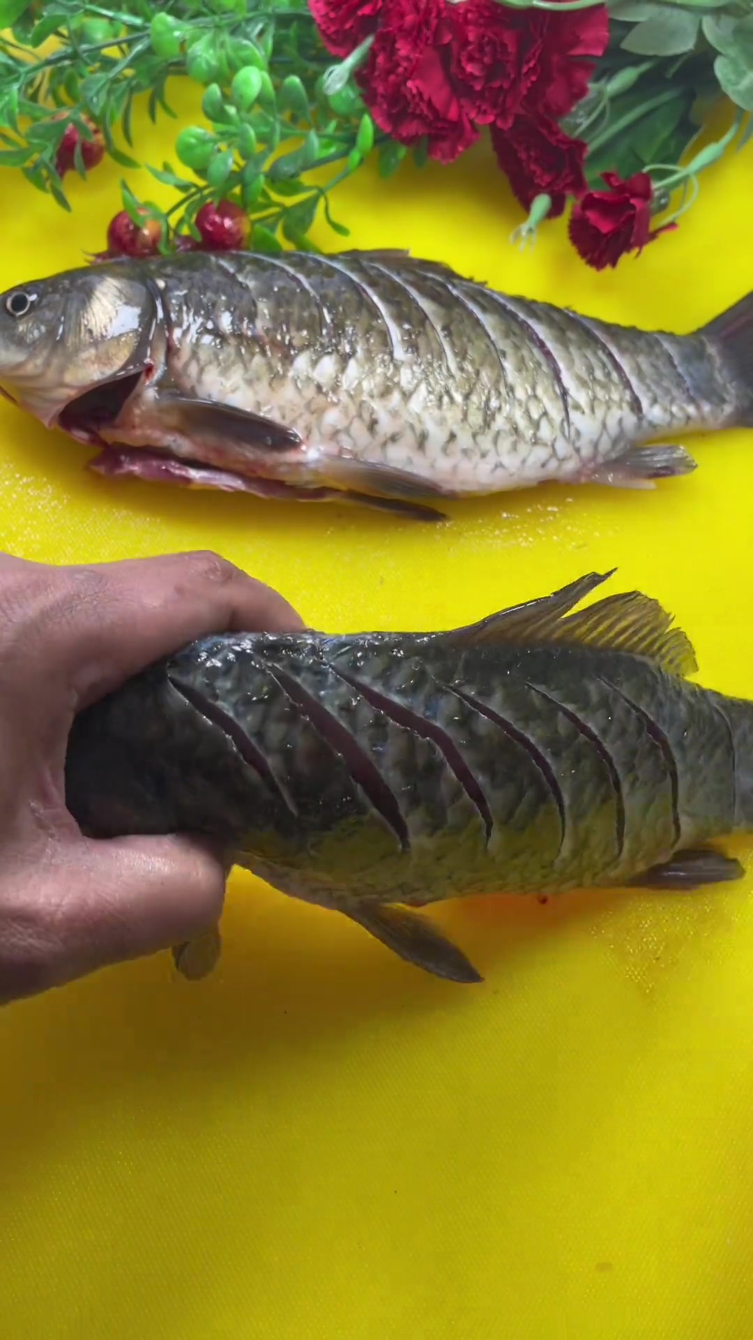 酱炖鲫鱼 鲫鱼头鲶鱼尾 +小助手 简单又好做