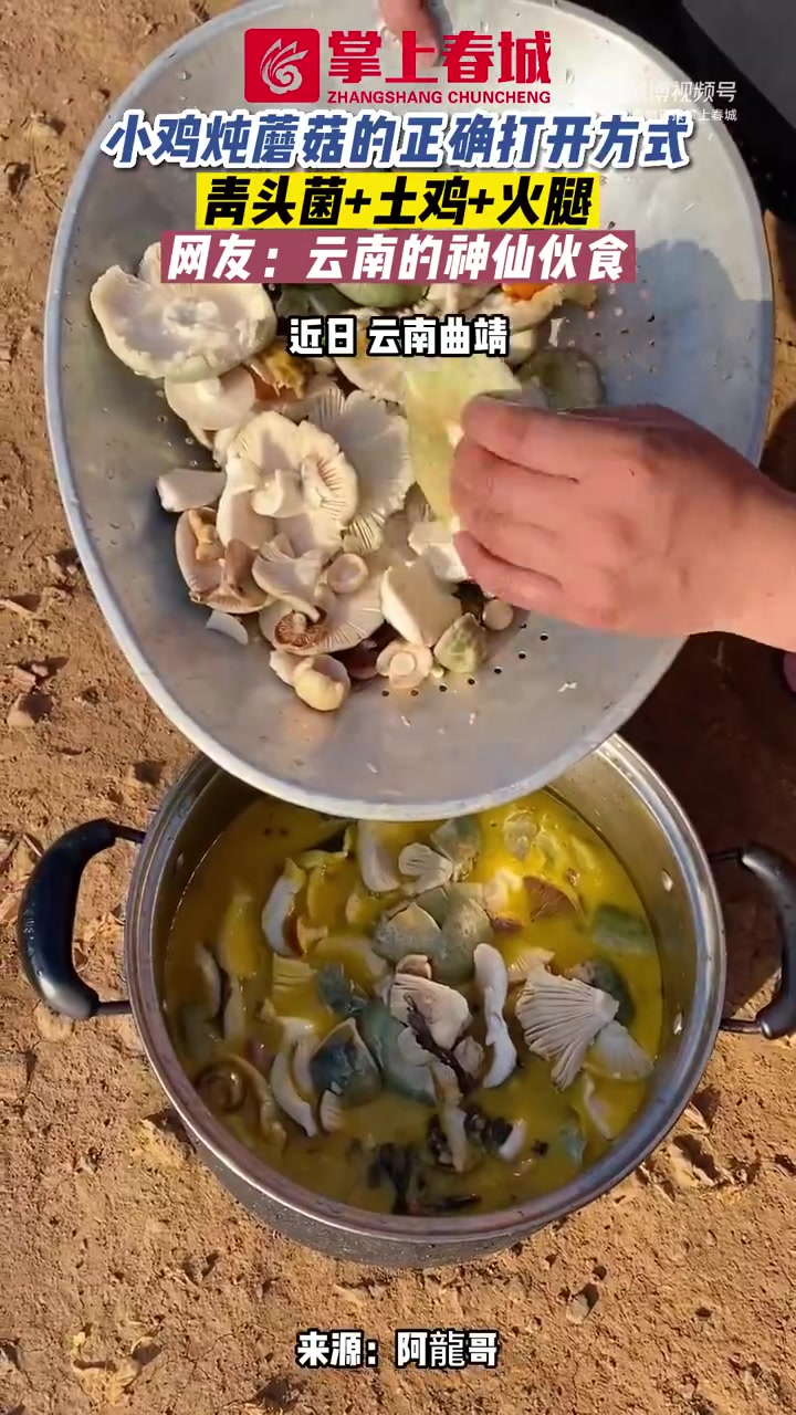 「有一种叫云南的生活」近日,云南曲靖。云南的神仙伙食又来啦小鸡炖蘑菇的正确打开方式,青头菌