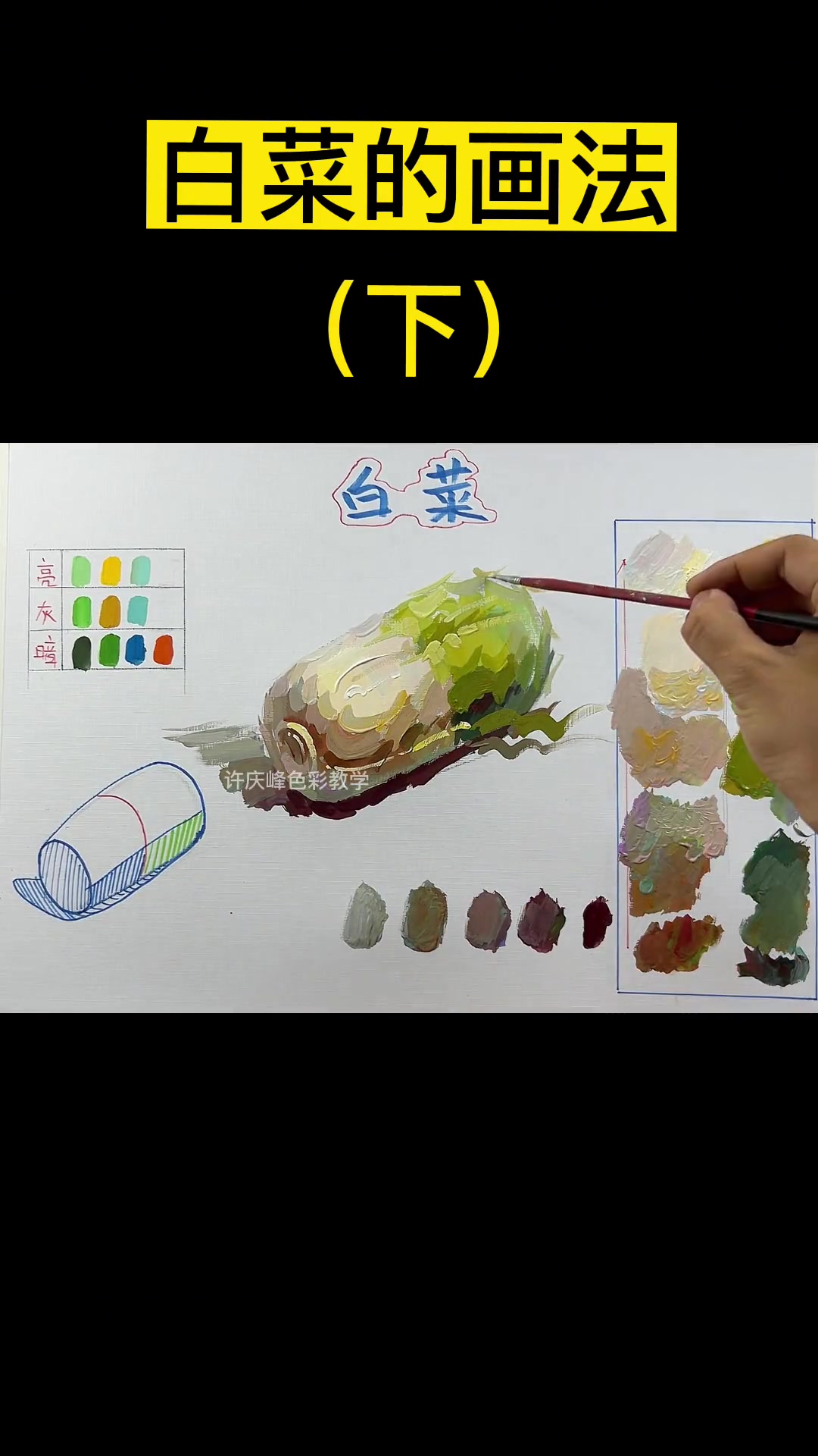 第11集|色彩静物大白菜的画法 画画 美术生 零基础学画画
