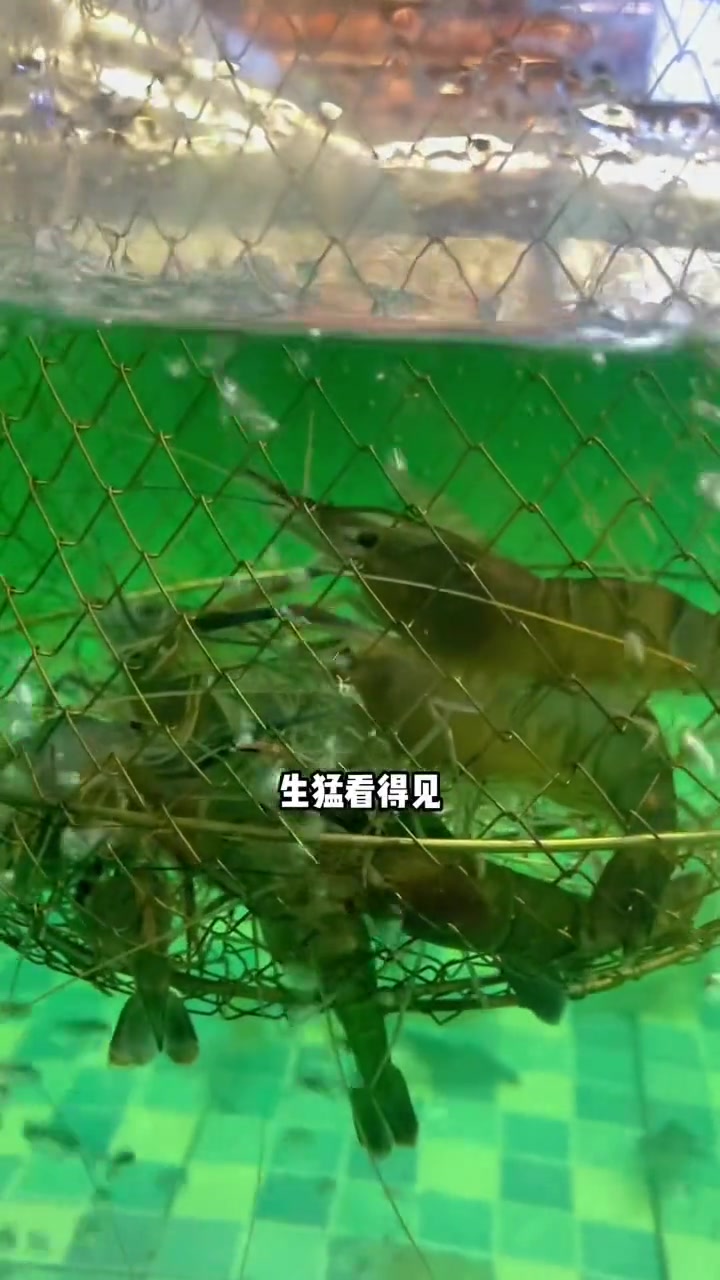 天真热热热室内钓虾场边吹冷气边钓虾边吃烧烤～太开心了!这是我爱的上海 途行推荐官 有腔调的
