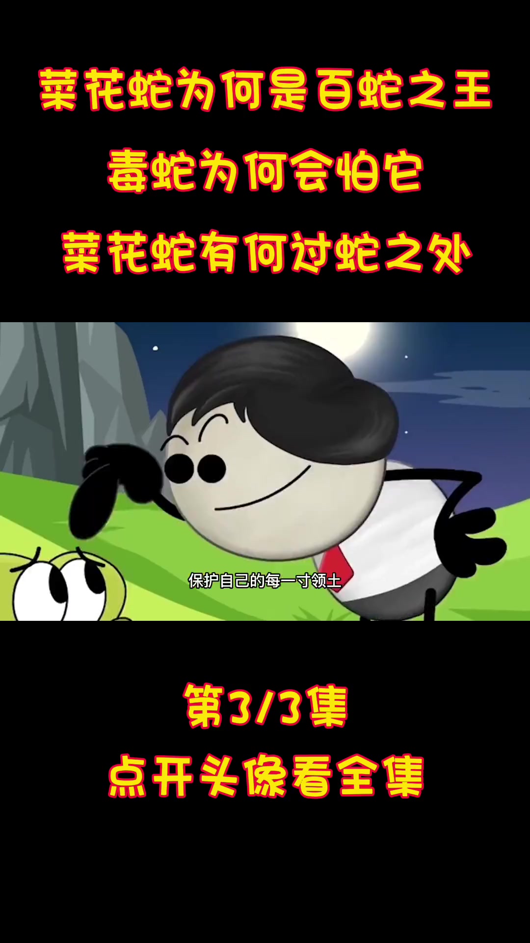 菜花蛇为何是百蛇之王?毒蛇为何会怕它,菜花蛇有何过蛇之处?菜花蛇 王锦蛇 毒蛇