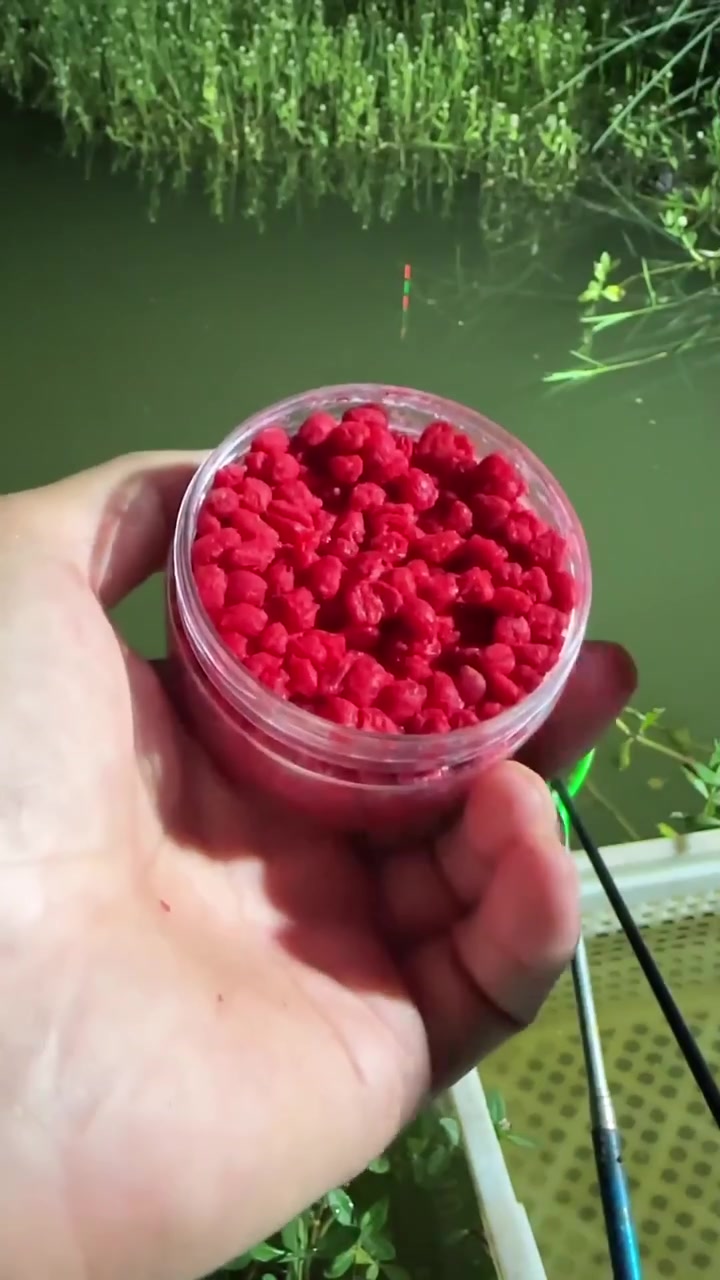 (天哲买一送一)天哲鱼竿手竿超轻超硬短节鱼竿溪流竿鲫鲤鱼竿宝宝们抓紧时间抢购吧!