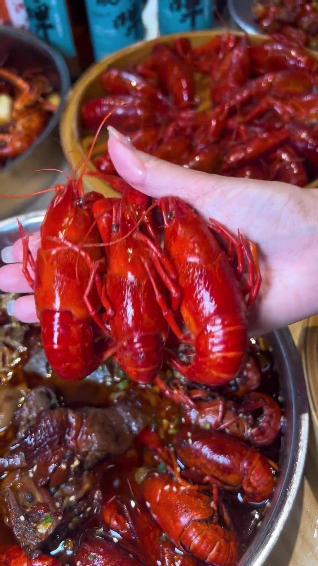 来武汉当然吃靓靓蒸虾～本地人都在排队的店铺!靓靓蒸虾 喜提靓虾 江湖龙虾节 在武汉总要浪漫