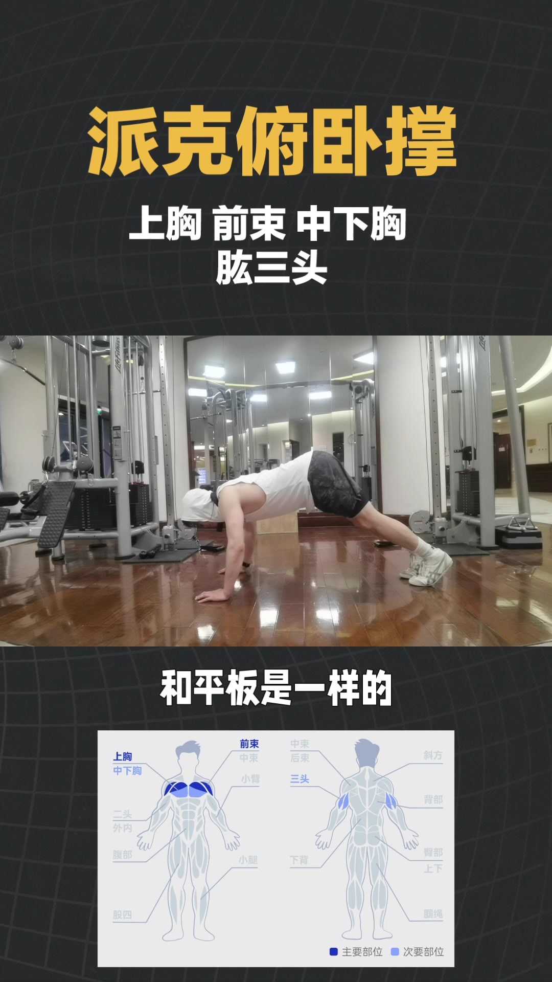 胸肌怎么练派克俯卧撑