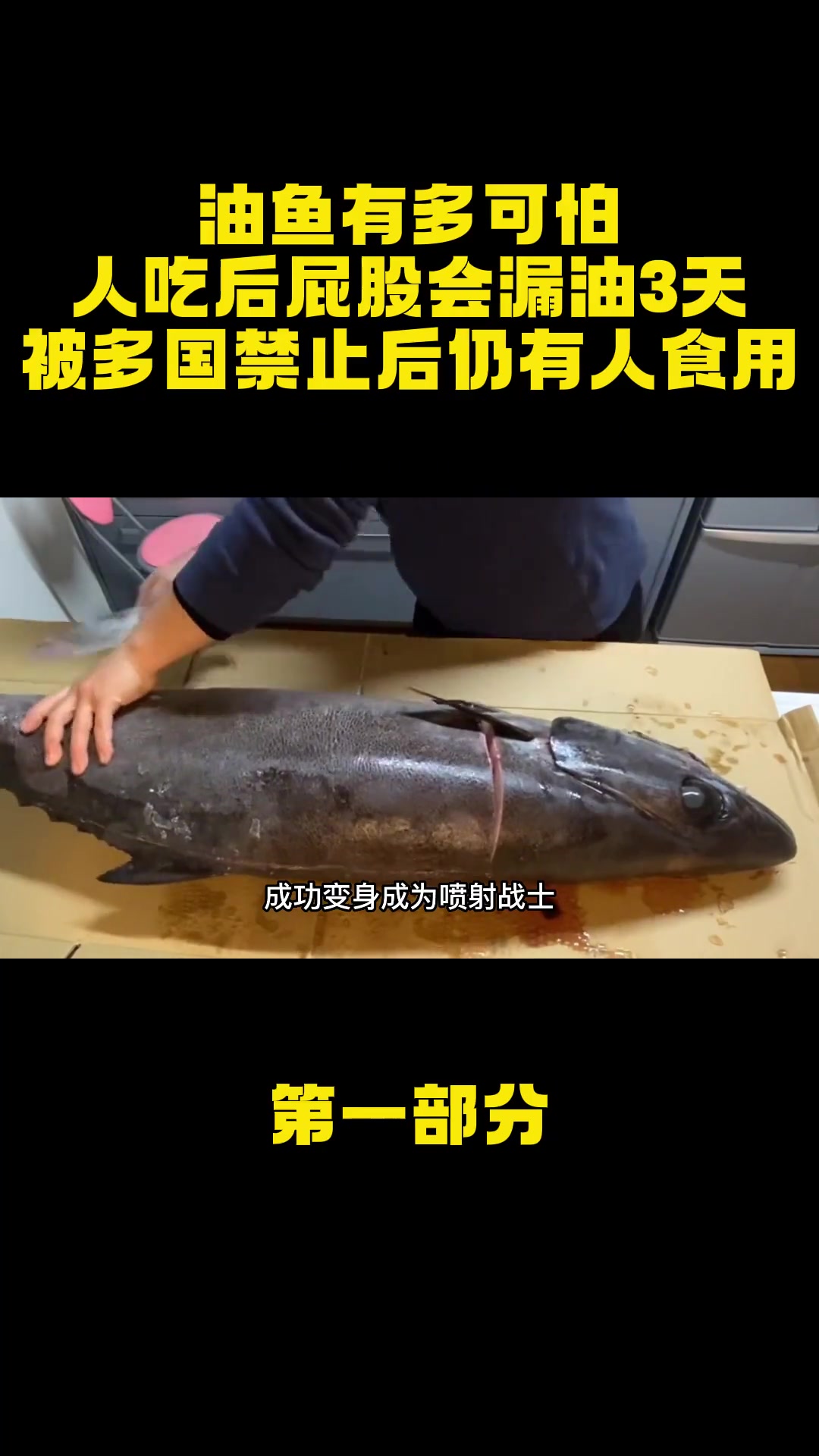 油鱼有多可怕?人吃后屁股会漏油3天,被多国禁止后仍有人食用?油鱼 泉水鱼 鱼类