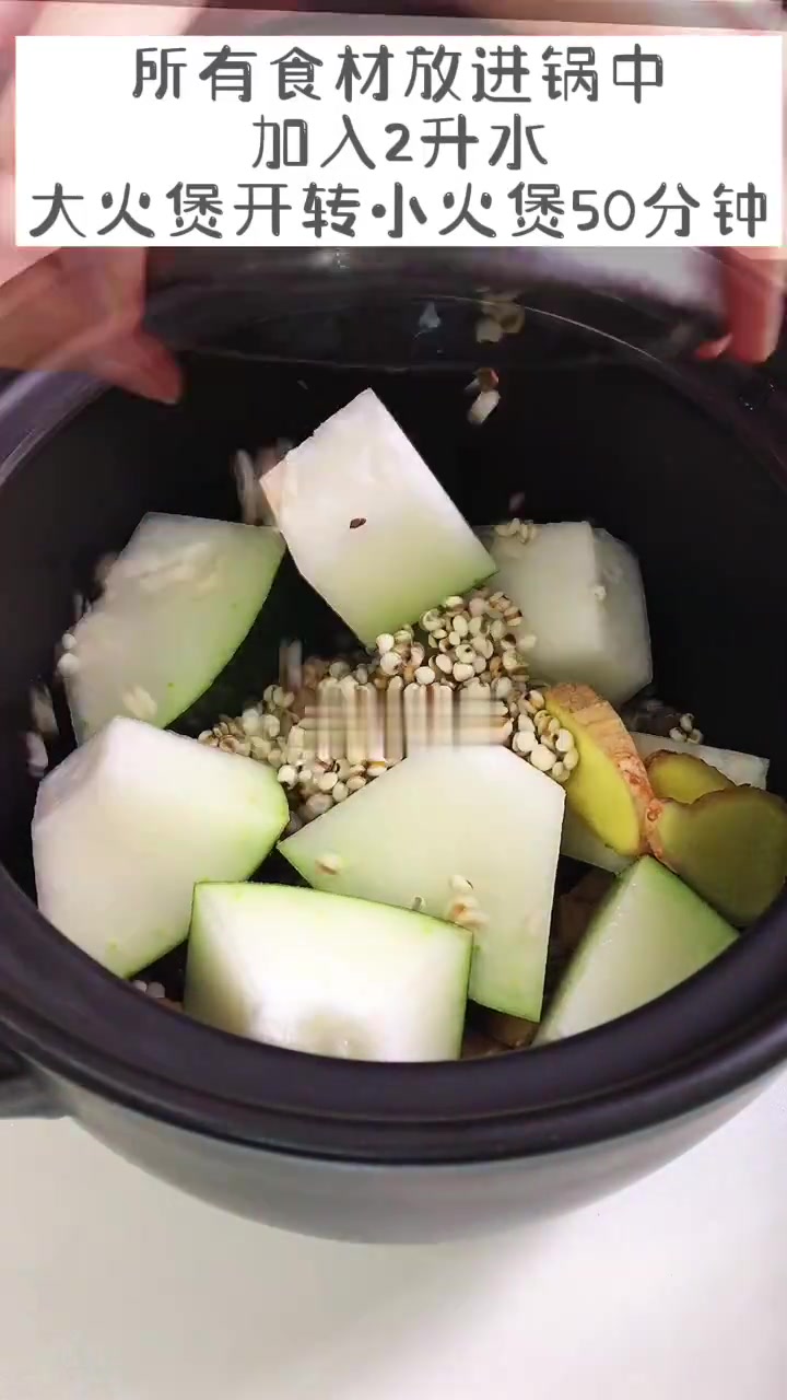 入夏祛湿汤鲜甜又美味|瑶柱冬瓜猪骨汤