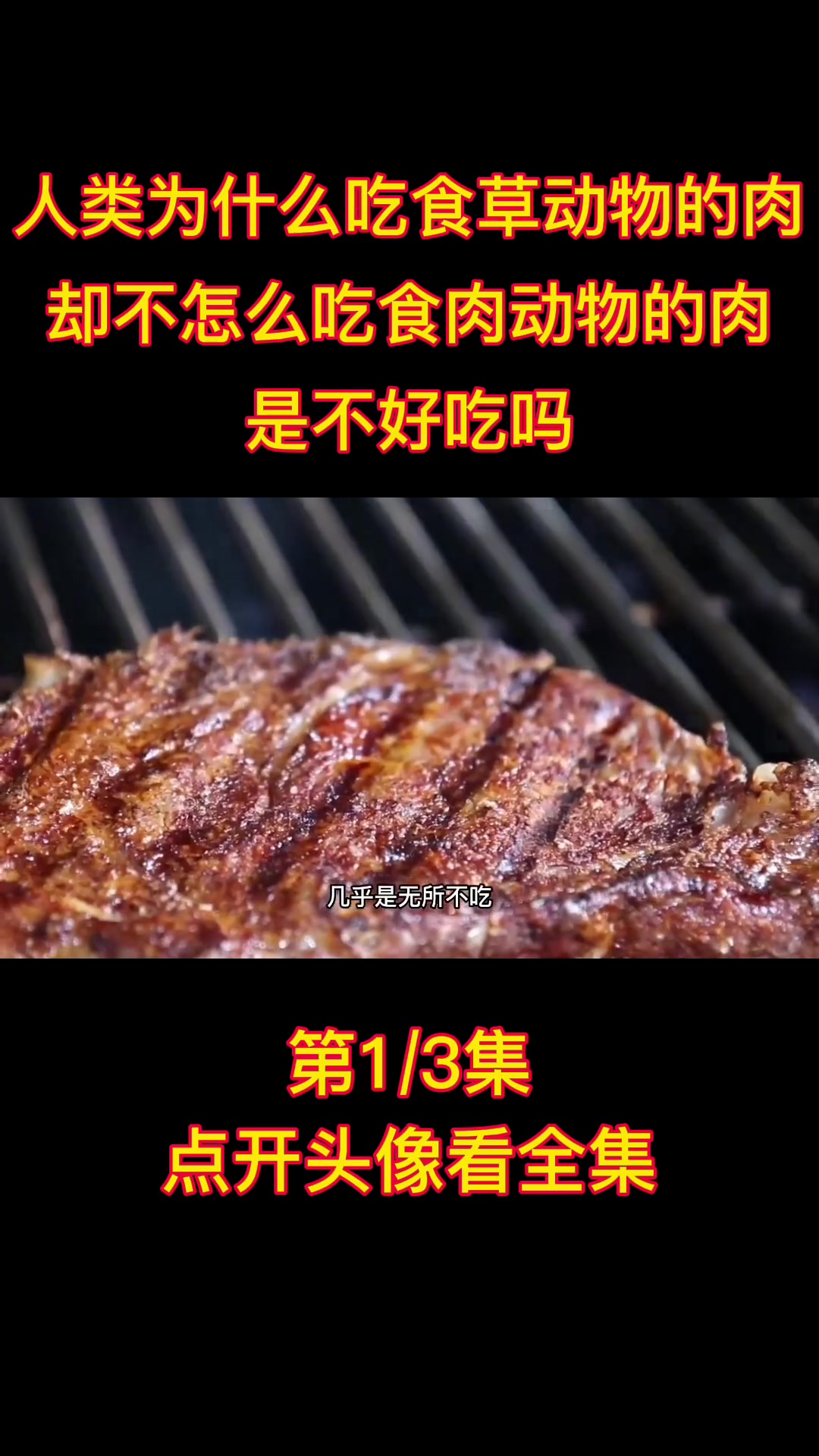 人类为什么吃食草动物的肉,却不怎么吃食肉动物的肉,是不好吃吗 食肉动物 食草动物 人类