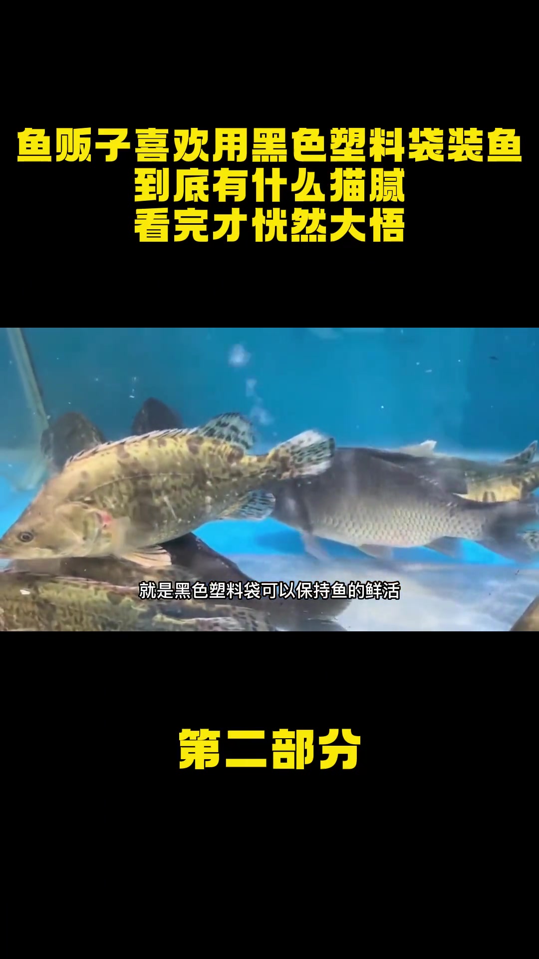 鱼贩子喜欢用黑色塑料袋装鱼,到底有什么猫腻?看完才恍然大悟 鱼贩子 黑色塑料袋