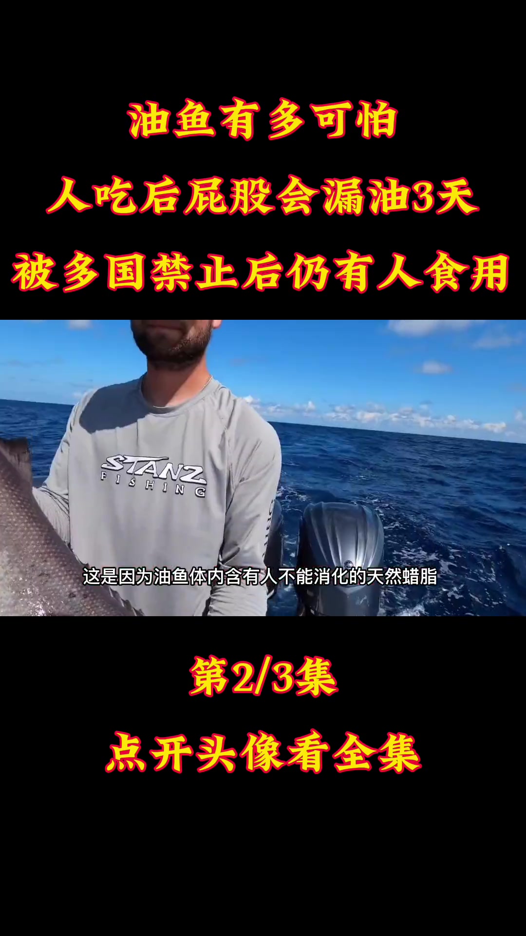 油鱼有多可怕?人吃后屁股会漏油3天,被多国禁止后仍有人食用?油鱼 鱼类 海洋生物