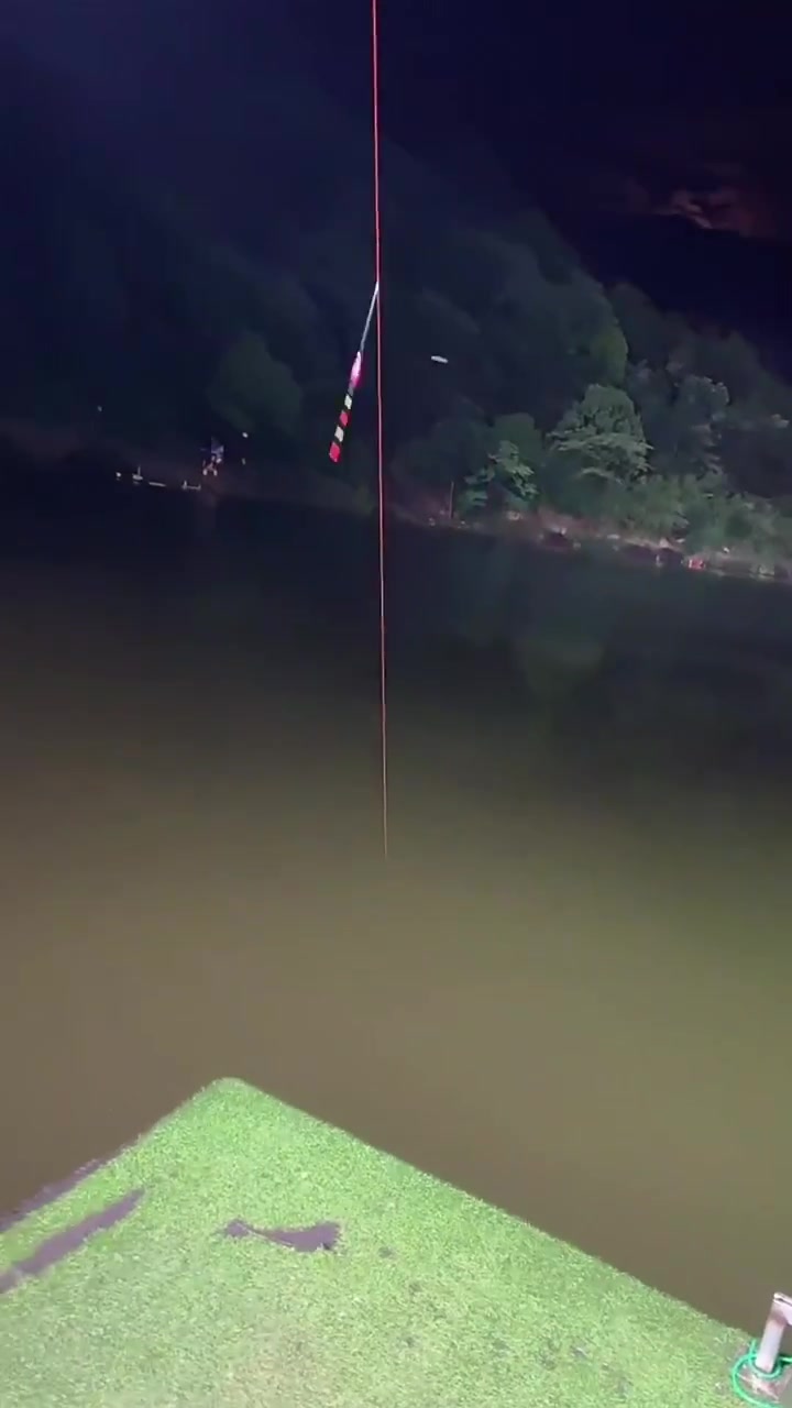 家人们冲啊!买它买它!美人鱼十年情电子浮漂日夜两用高灵敏醒目夜钓鲫鲤纳米浮漂