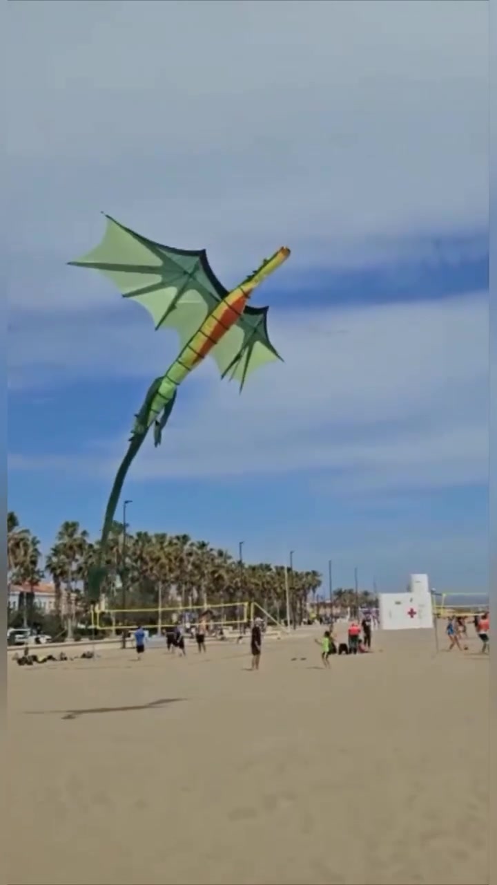 《我带风筝游潍坊》115