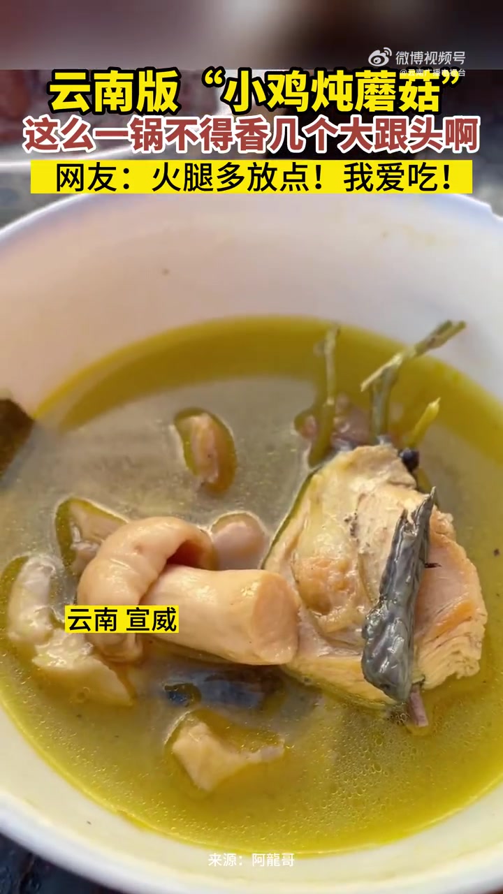 「云南版小鸡炖蘑菇 香迷糊了!」又到了吃菌子的旺季,这一锅云南版的小鸡炖蘑菇看起来也太香了