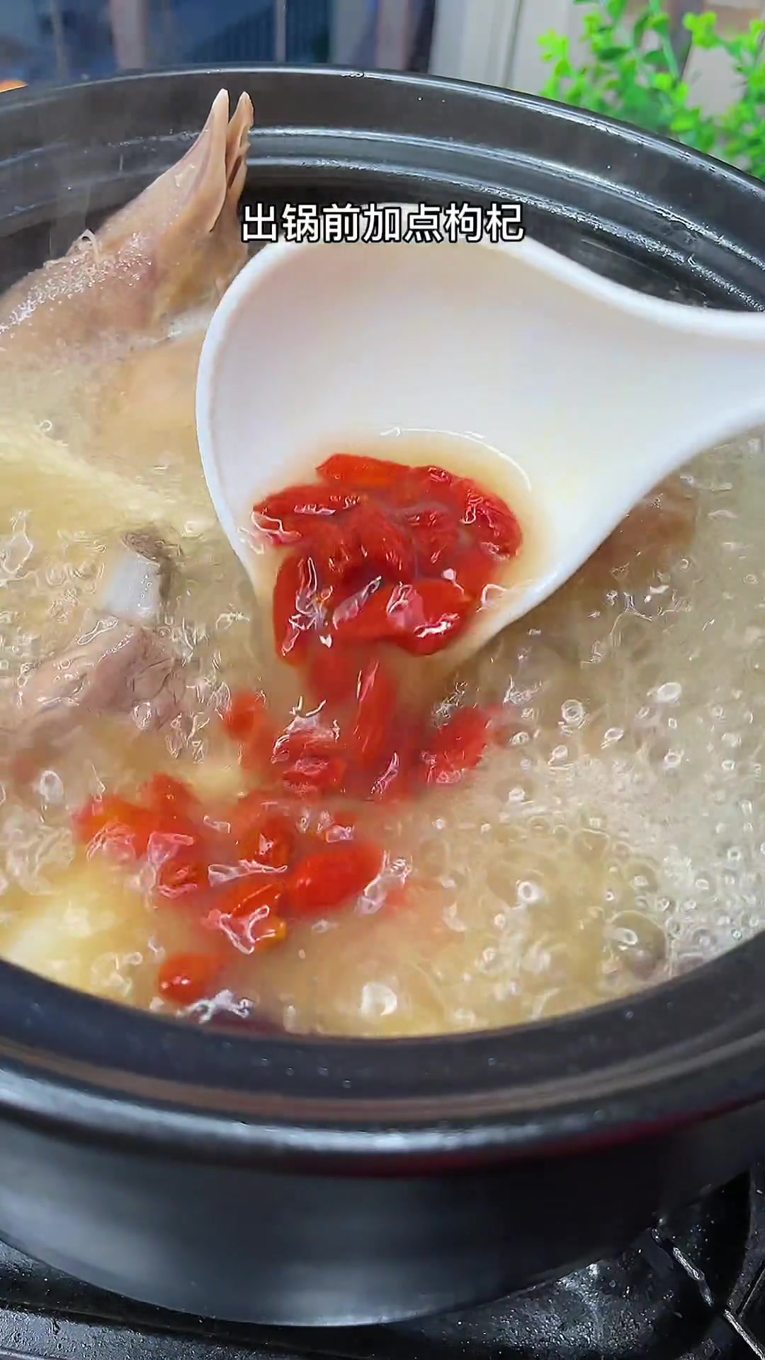 家里有老公的学会椰肉煲鸽子排骨汤一周两次它不香吗 鸽子汤 煲汤