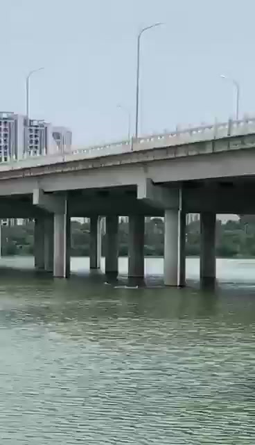 「男子意外落水 民警辅警紧急救援」5月25日,湖北武汉一男子在汤逊湖大桥附近落水。民警王勇