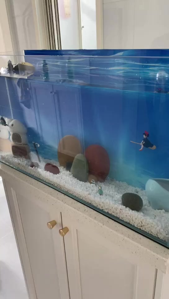 斗鱼可以和什么鱼一起养