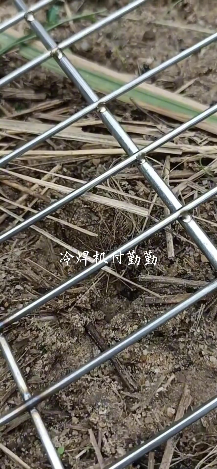 客户分享,使用普通款冷焊机焊接鸡笼子