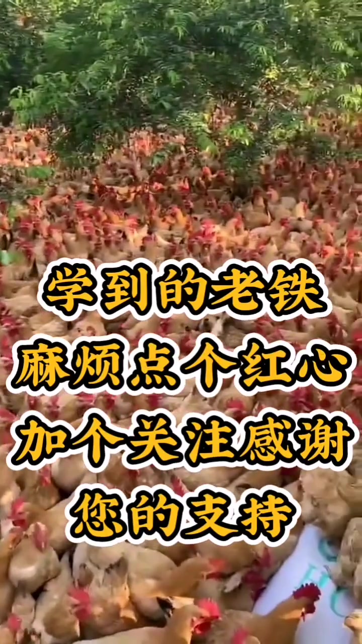 青霉素的作用:1、治疗球虫时使用,或者配合磺胺类药物同时给药治疗球虫。2、治疗腺胃炎,青霉
