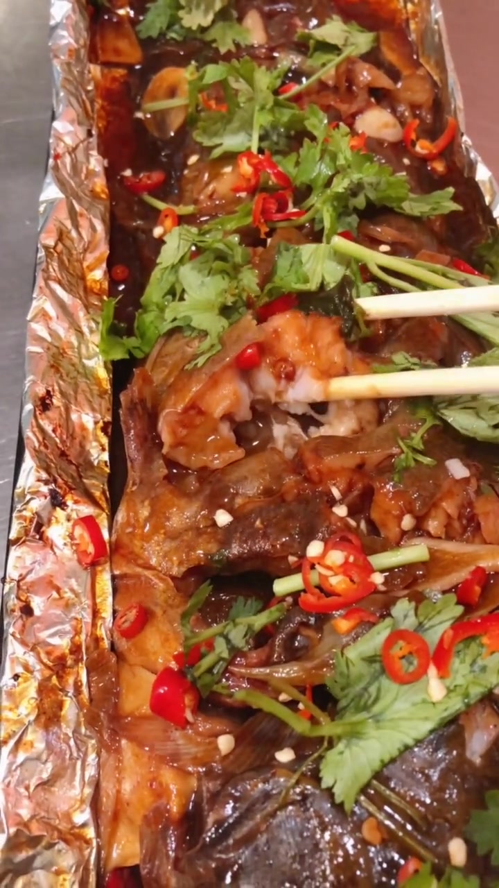 支嘴獠牙大鲶鱼