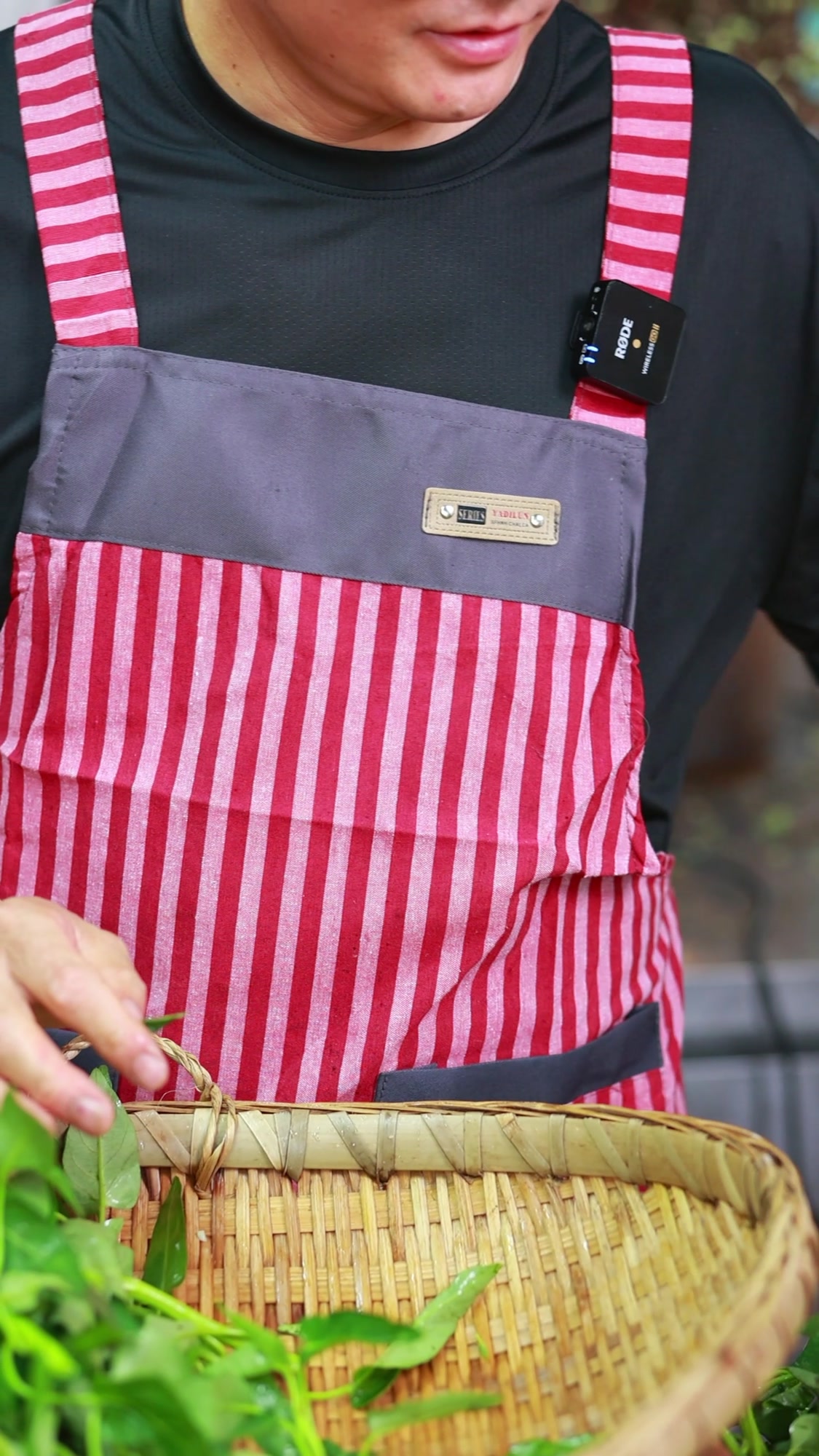 藤藤菜炒出来不黑还翠绿,你看我是怎么做的