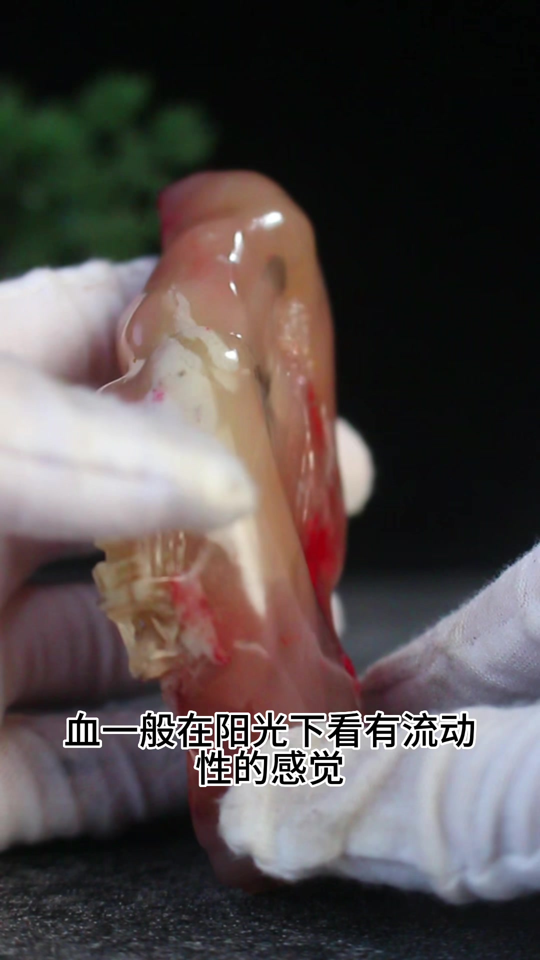 巴林鸡血冻,精品摆件