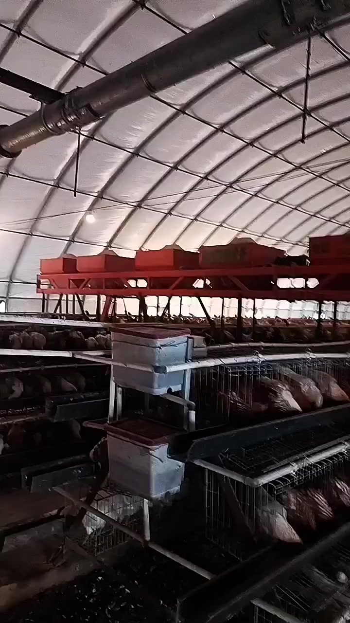 分享视频