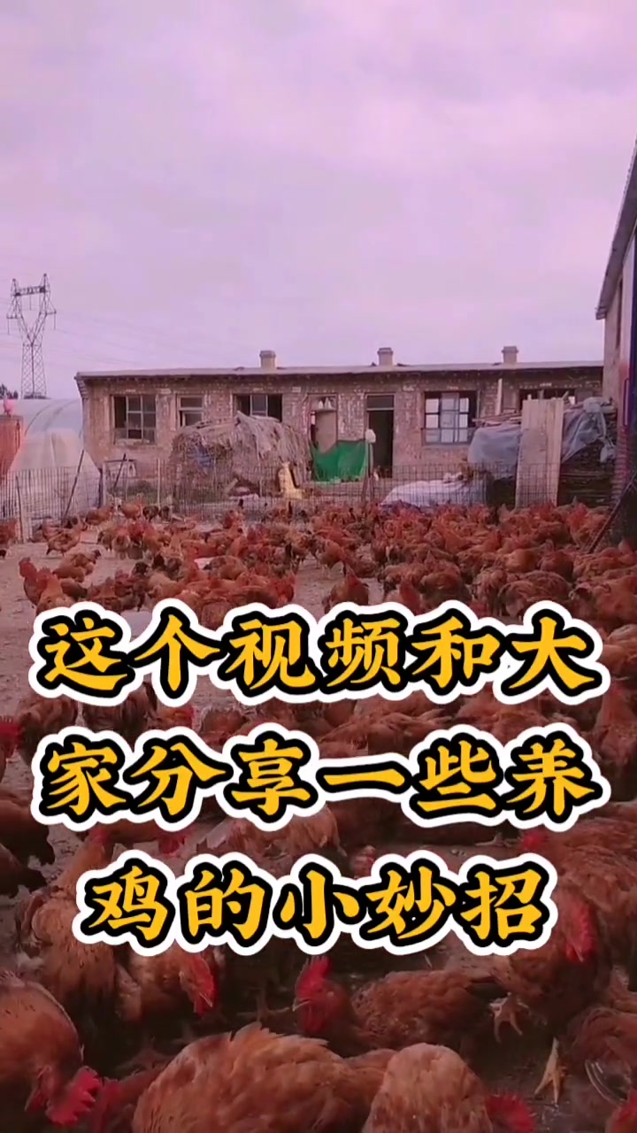 1.咳喘合剂 功能与主治:用来治疗肺炎、支气管炎、支原体、大肠杆菌等引起的“呼噜、咳嗽、甩