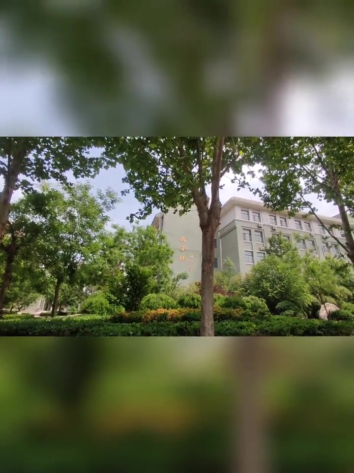 中考出征 中考 中考加油 鲤鱼跳龙门