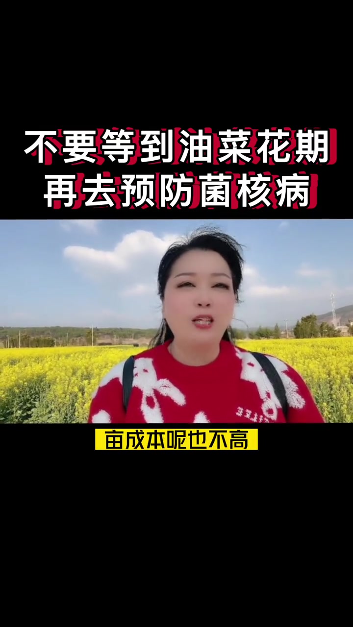 不要等到油菜花期再去预防菌核病!农业种植 油菜菌核病