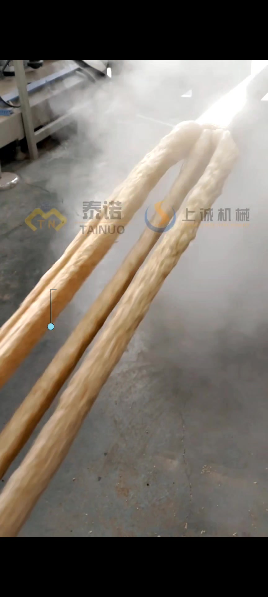 拉丝蛋白素肉生产线设备能做哪些形状 拉丝蛋白机器用途