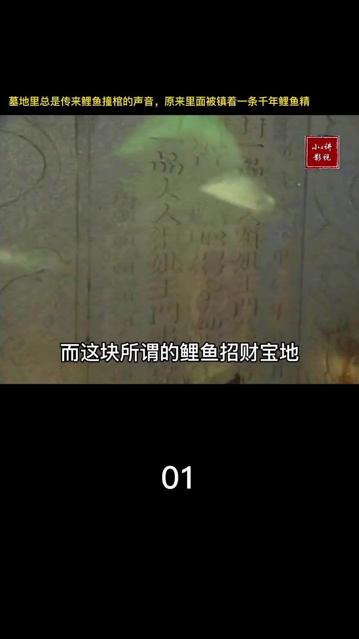 墓地里总是传来鲤鱼撞棺的声音,原来里面被镇着一条千年鲤鱼精