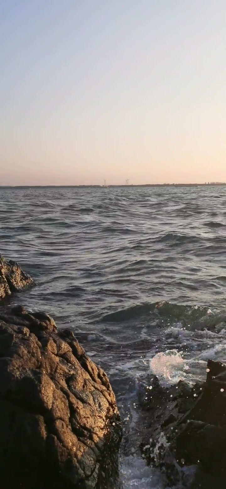 第19集|富贵菜别名百子菜、神·仙菜等。分布在广东、海南、福建、四川等地。食用地上部嫩梢叶