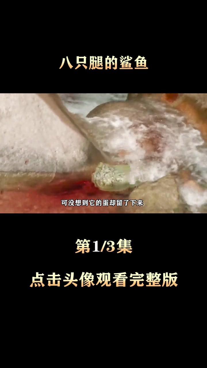 这条鲨鱼竟然八条腿