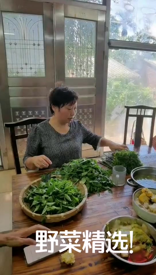 益肝菜,珍稀的木本蔬菜。清热解毒益肝。精选野菜。幸福的味道 生态野菜 家的味道