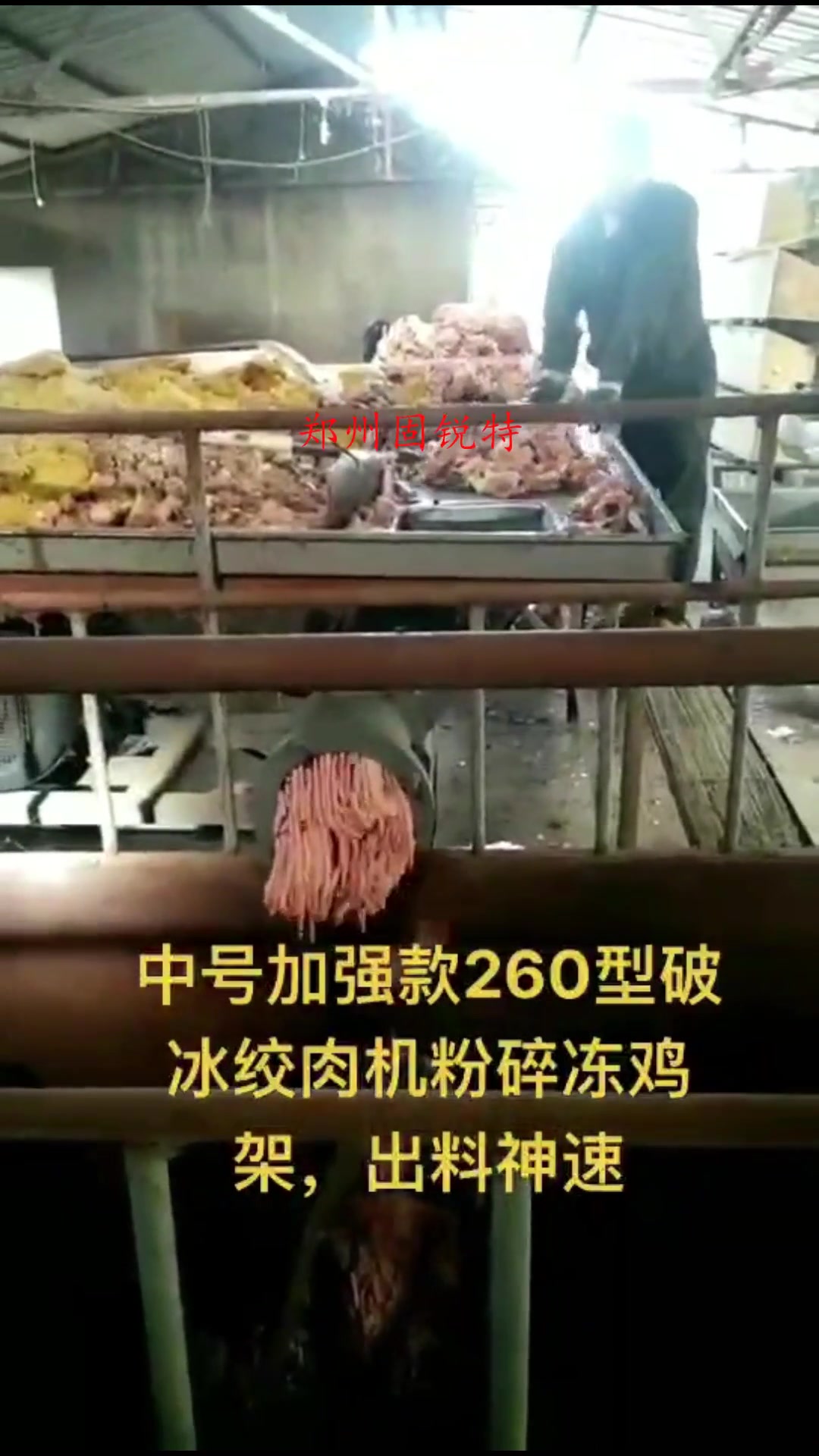 破冰绞肉机 冻鸡架鸭架打碎机 鱼塘小龙虾饲料粉碎机