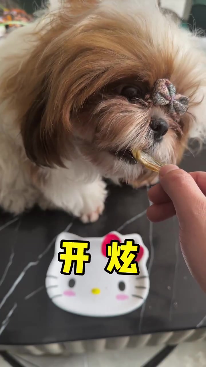 咔咔酥脆的小鱼干,想要美毛发腮的猫狗还不快吃起来!满满都是鱼籽,富含多种微量元素