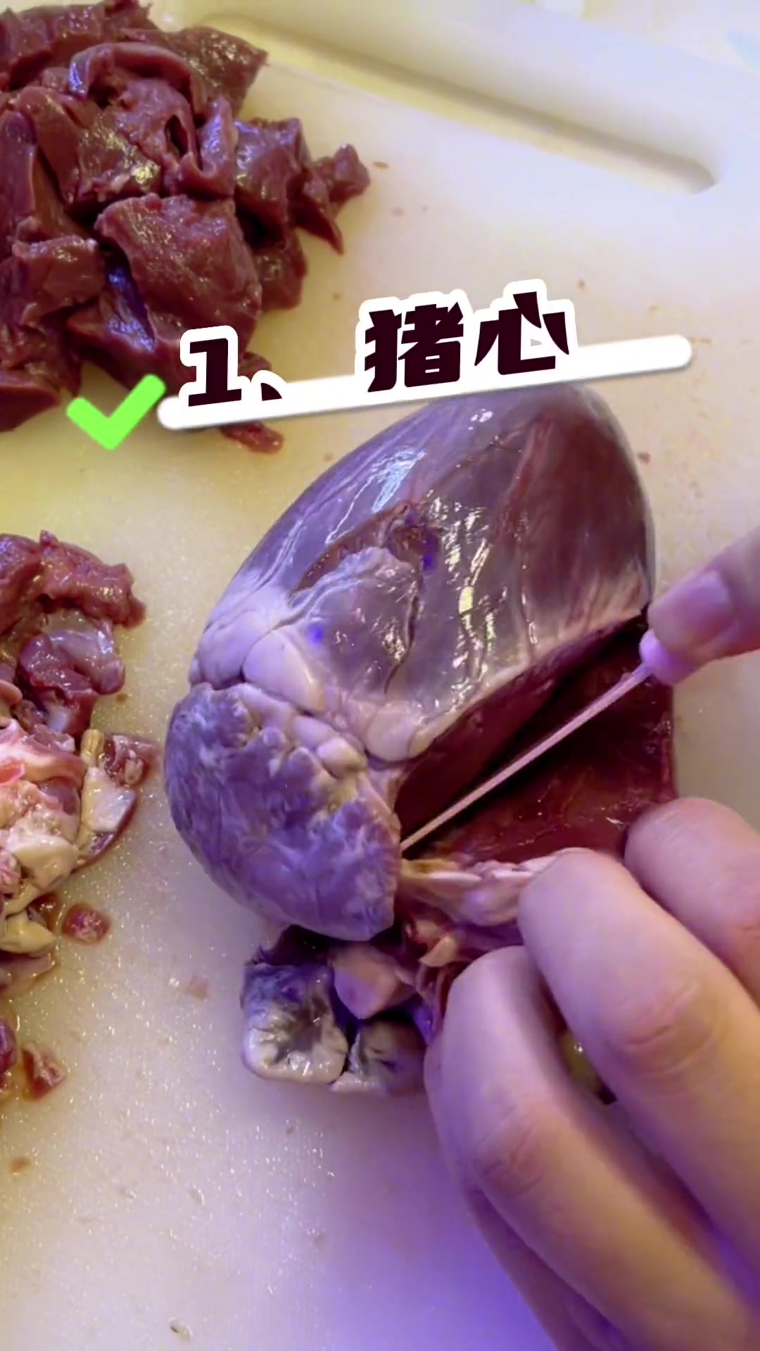 第22集|制作七彩神仙鱼的口粮教程,它来了快快学起来轻松实现在家自制汉堡 养鱼日记 萌宠 