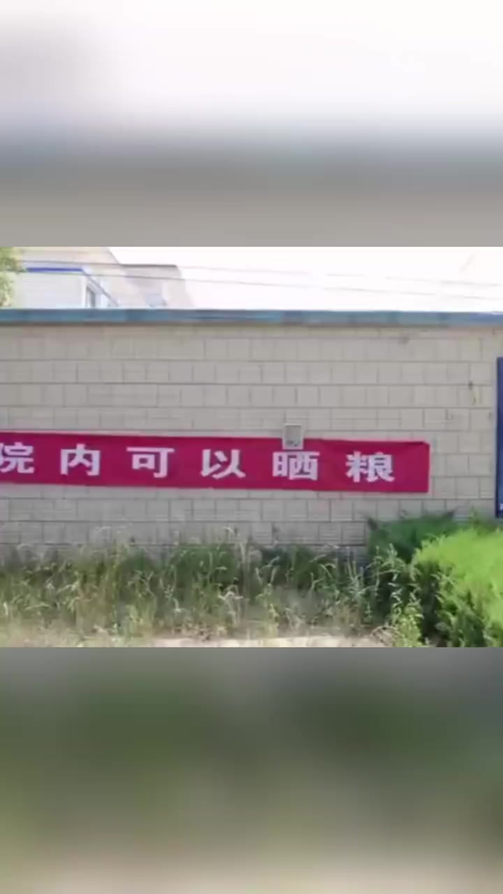 「安全感满满!派出所打开大门变身晒粮场「赞」」近日,山东德州,正值夏收时节,德州多个派出所