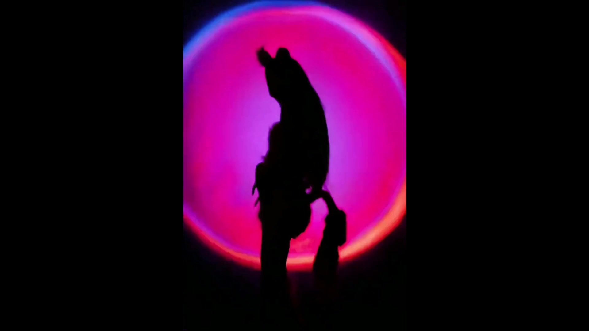 性感美女影子舞合集/2.0