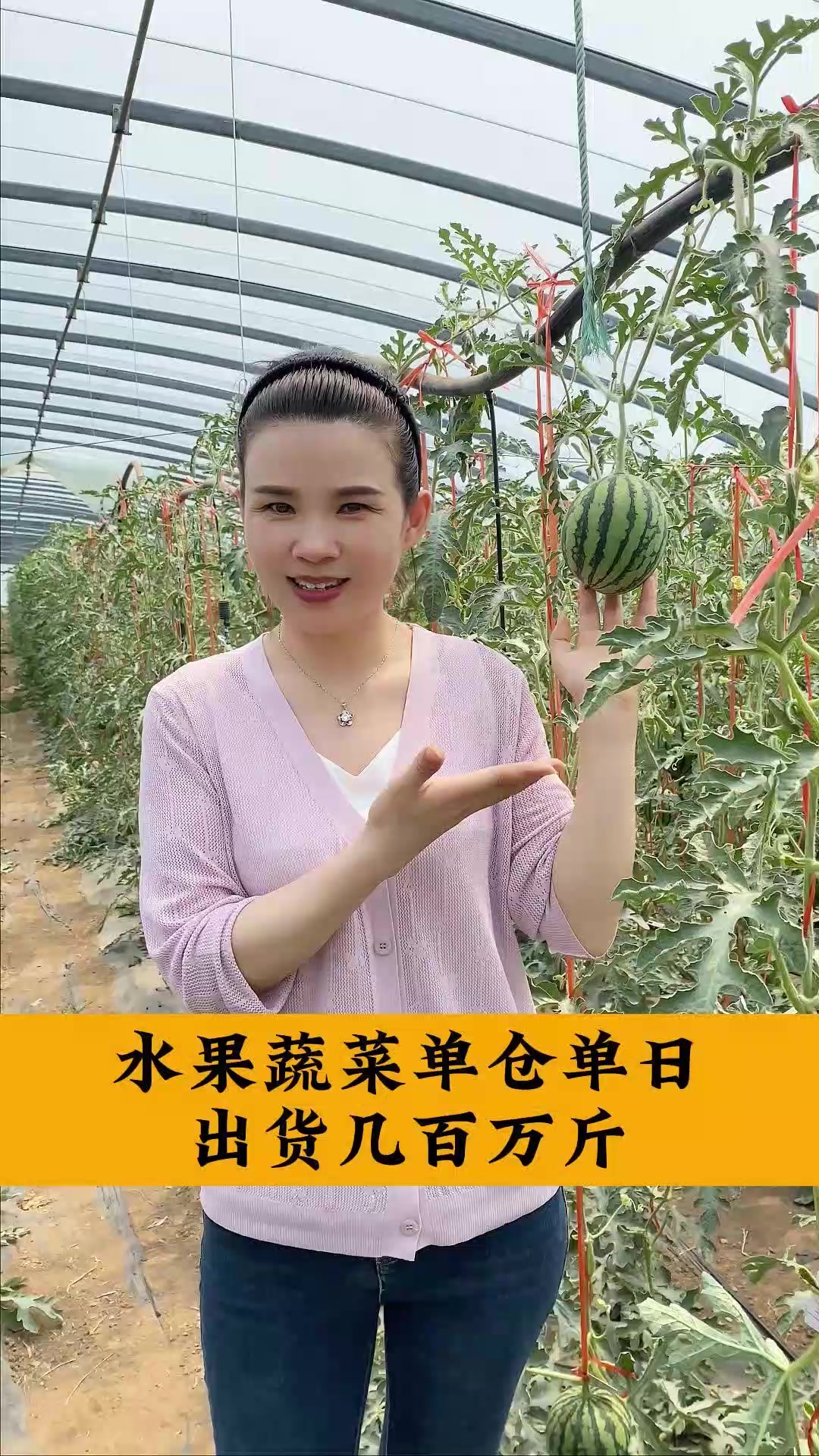 果蔬 你那里有什么农产品?你在哪个城市?水果 蔬菜