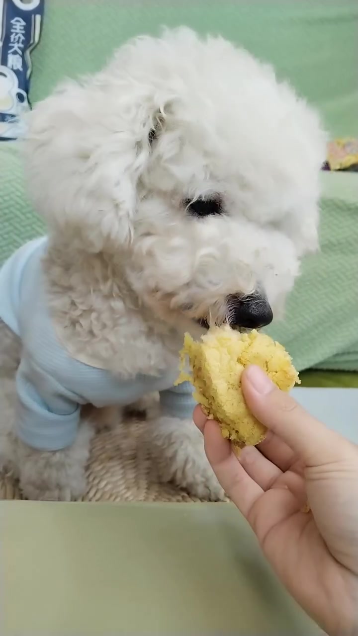 自制狗狗蛋糕,烤箱温度根据自己家烤箱的脾气可适当调整