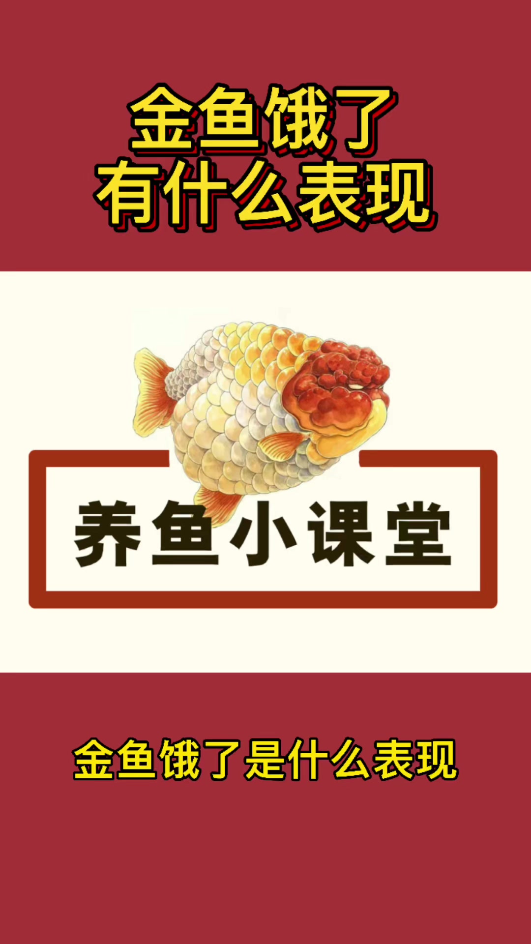 金鱼饿了有什么表现