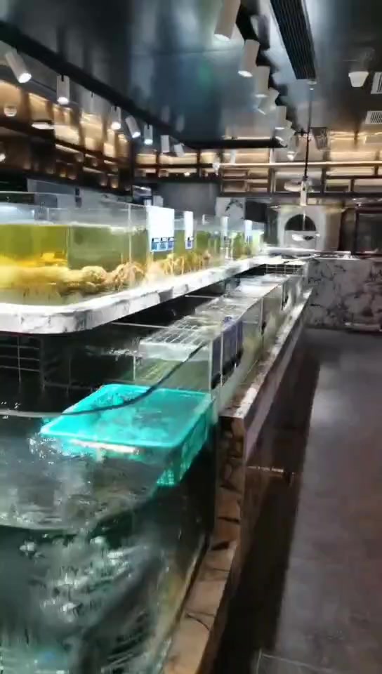 海鲜养殖设备-鱼缸制作,海鲜池制作,酒店海鲜池,饭店海鲜池